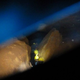 cave 8